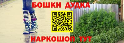 тгк Сланцы