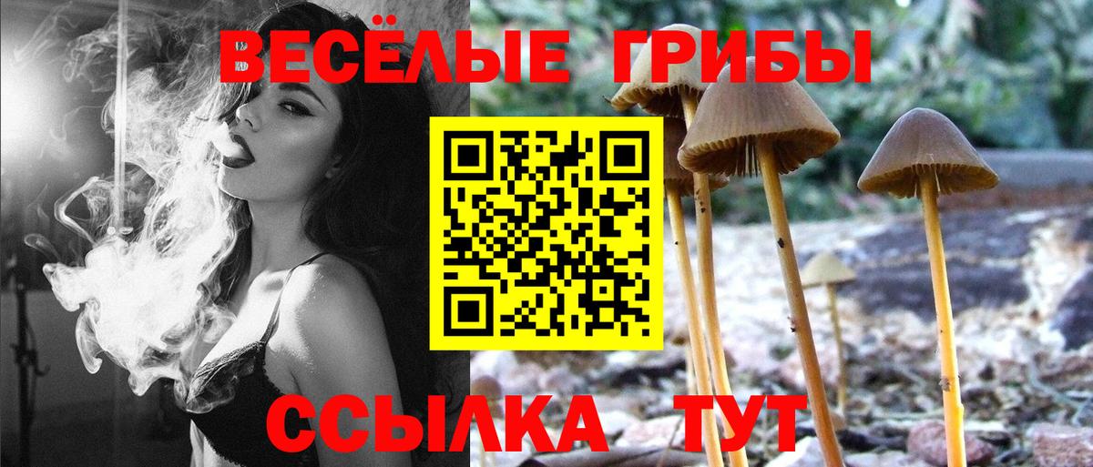 Бошки Шишки Нижний Тагил