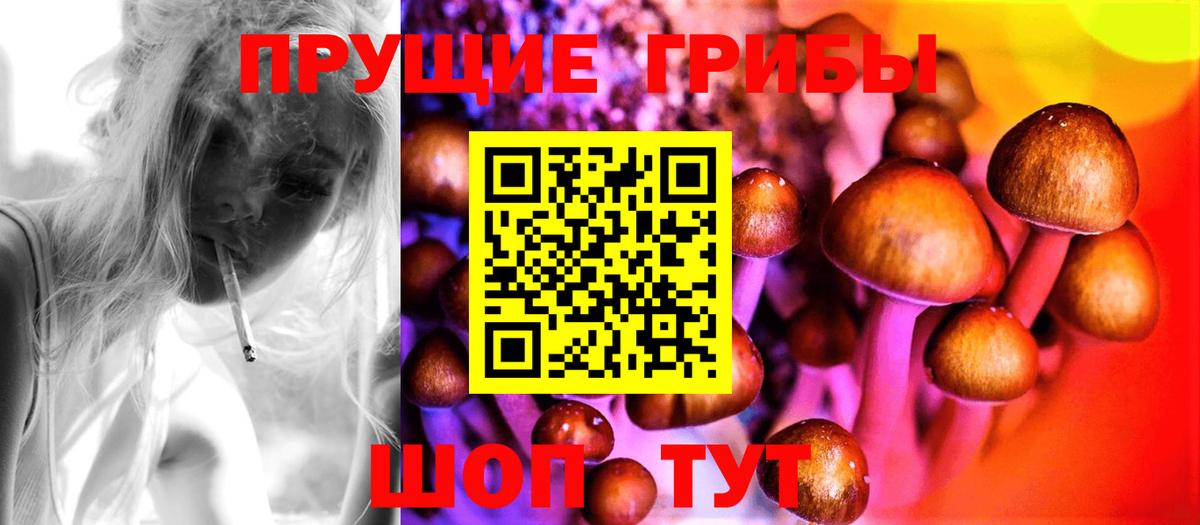 Галлюциногенные грибы мицелий  Вход с VPN  Нижний Тагил 
